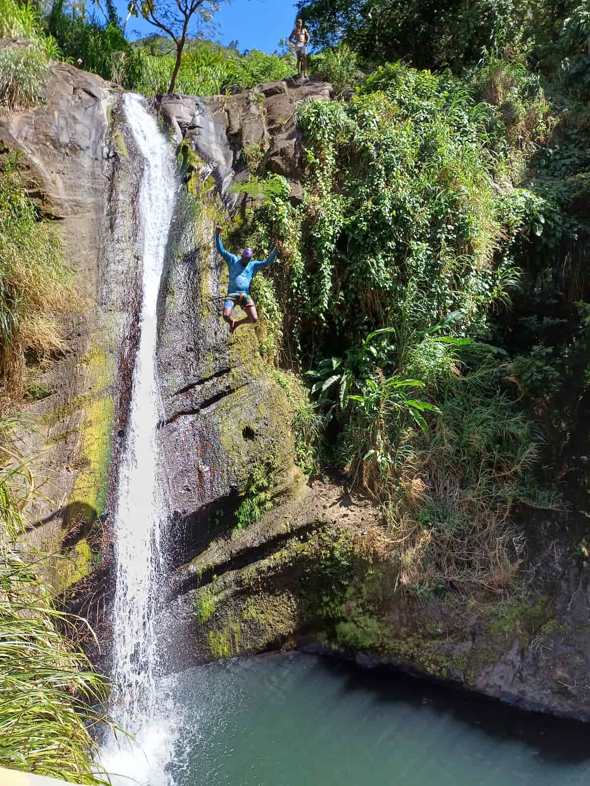 Klippenspringer an den Concorde Falls auf Grenada